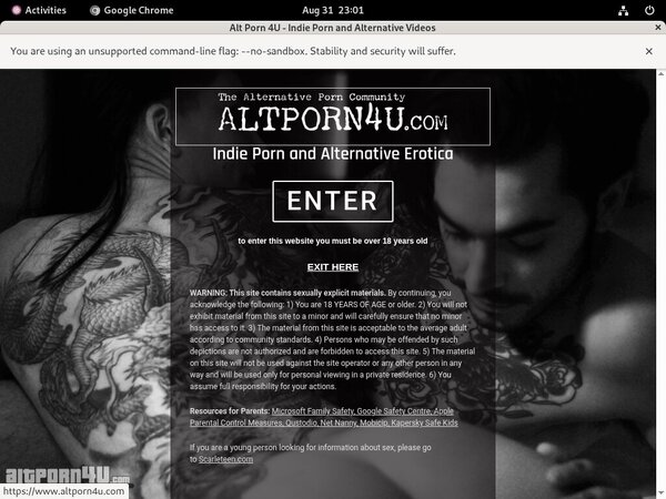 Altporn4u.com Member Passwords Altporn4u.com Member Passwords