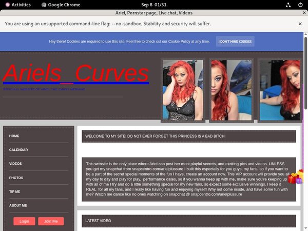 Ariel Free Trial Coupon