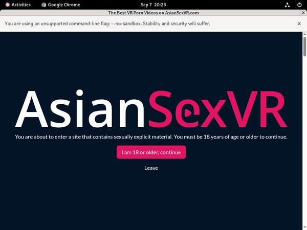 Asian VR Sex Full Website
