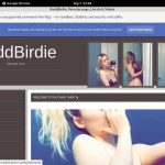 Baddbirdie.modelcentro.com Real Accounts