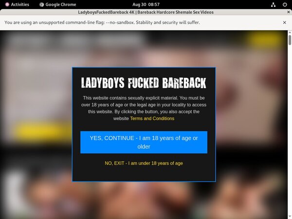 Bareback Fucked Ladyboys Register