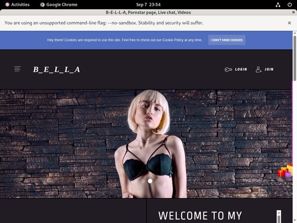 B-e-l-l-a.modelcentro.com Password Dump