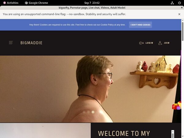 Bigmaddie Shop