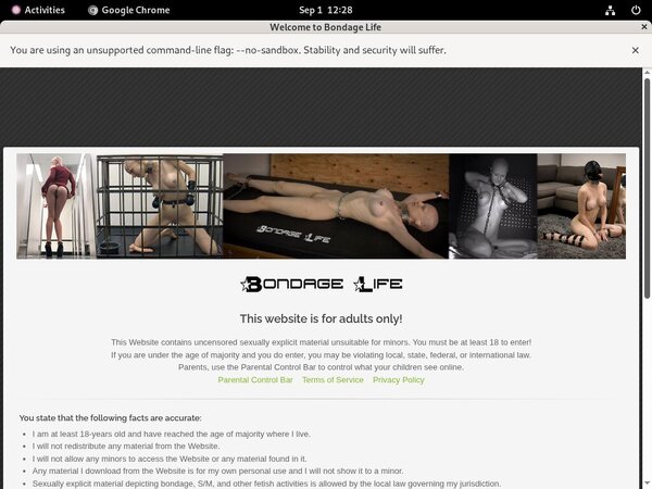 Bondage Life Passwords Blog