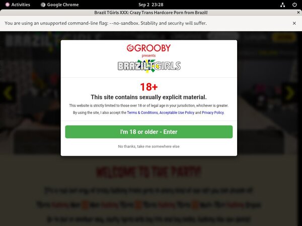 Brazil TGirls XXX Tube