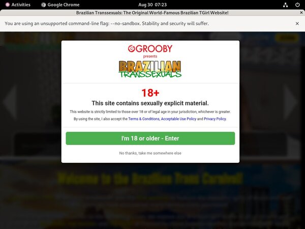 [Image: Brazilian-Transsexuals-Billccbillcom.jpg]