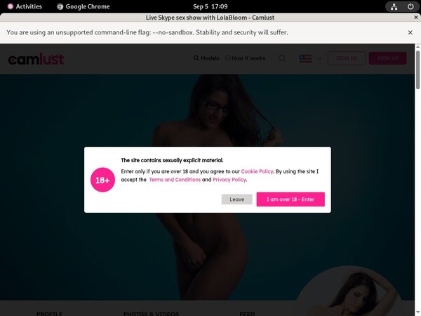 Camlust.com Passwords Accounts
