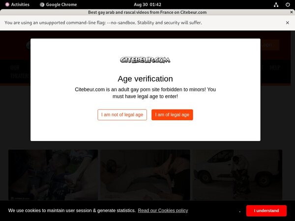 Citebeur Free Logins