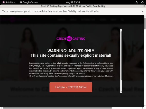 Czechvrcasting By SMS