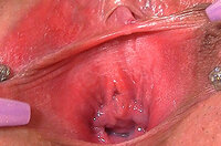 Discount Gape My Pussy Promo Code s1 Discount Gape My Pussy Promo Code s1