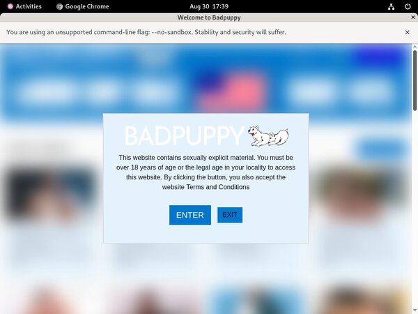 Discount On Badpuppy