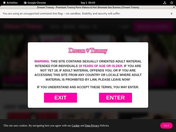 Dream Tranny Login Pass