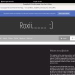 FoxxyRoxii Cheaper Price