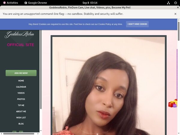 Free Bossy Robin Premium Free Bossy Robin Premium