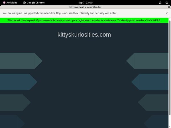Free Kitty'sKuriosities Password Account