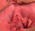 Gapemypussy Femdom Gapemypussy Femdom