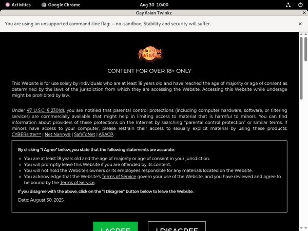 Gayasiantwinkz.com Offer