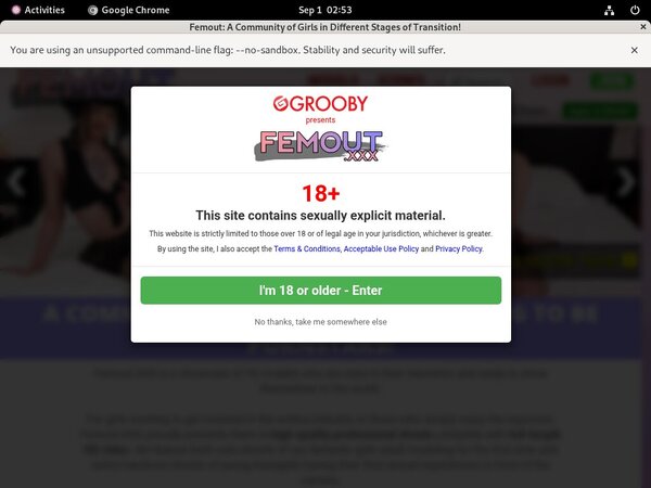 How To Access Femout XXX