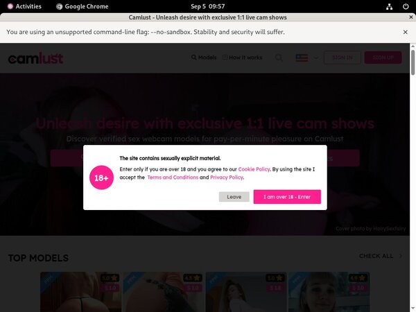 How To Get On Camlust For Free How To Get On Camlust For Free