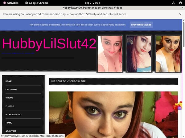 Hubbylilslut420.modelcentro.com Site Review