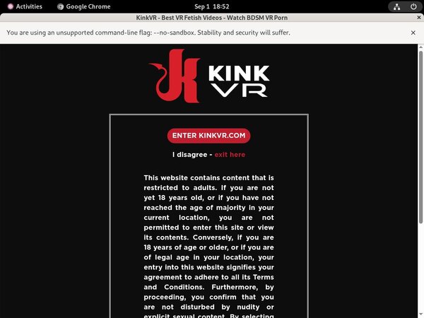 Kinkvr Premium Logins