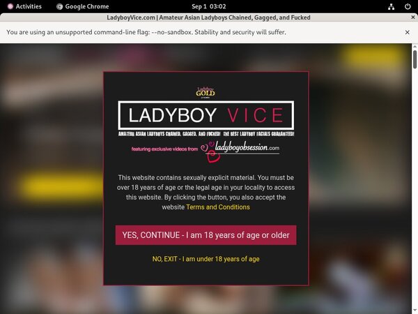 Ladyboyvice.com Epoch Discount