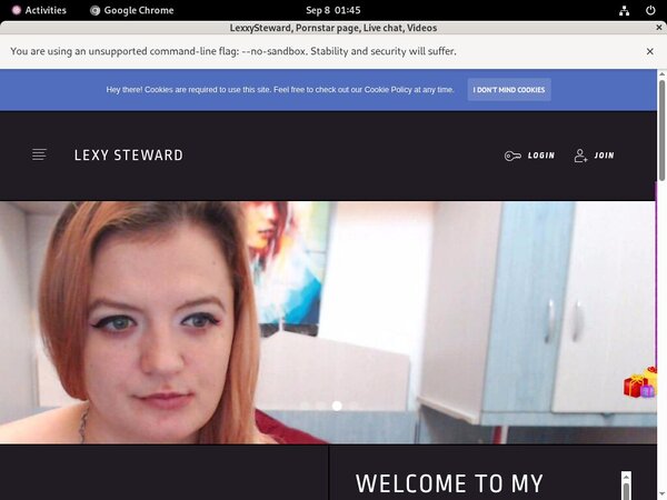 Lexxysteward.modelcentro.com Customer Support Lexxysteward.modelcentro.com Customer Support