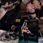 Login To Subspace Land Free