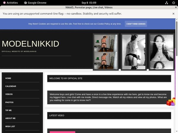 Modelnikki.modelcentro.com Login Ids