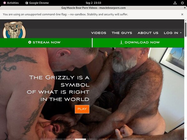 Muscle Bear Porn Hack Account