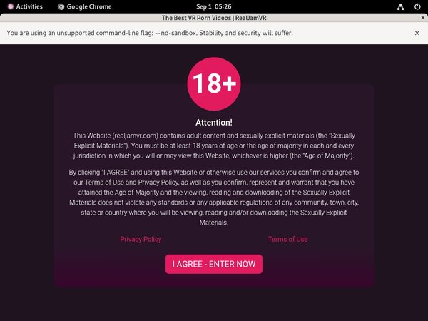 Paypal With Real Jam VR