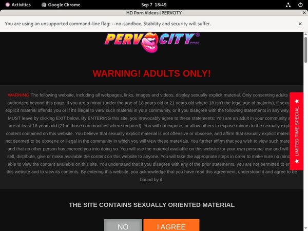 Pervcity.com Girl