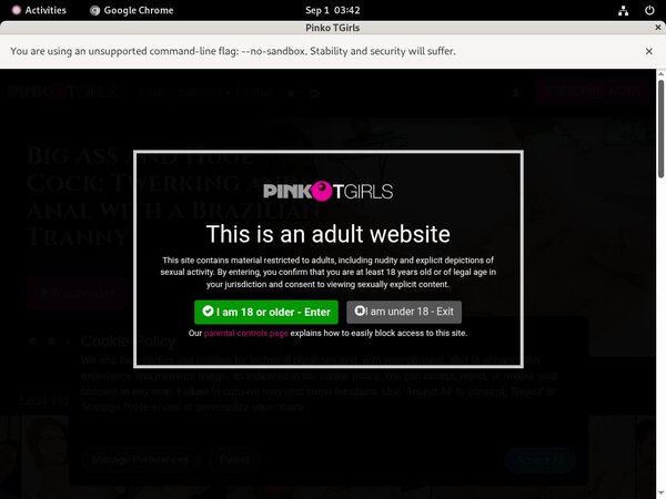 PinkO TGirls Password Share PinkO TGirls Password Share