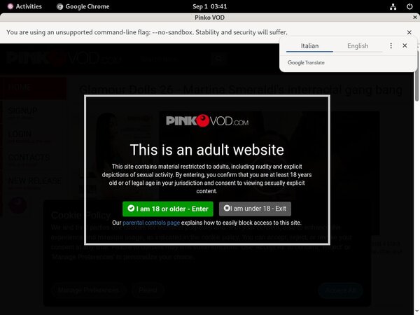 Pinkovod.com Using Pay Pal