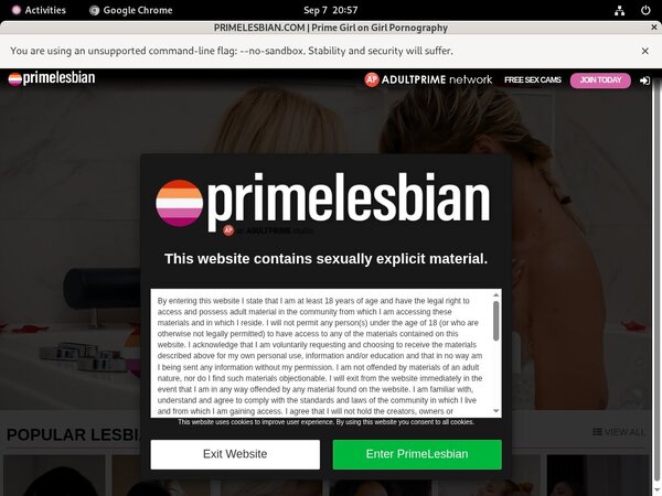 Primelesbian Logins