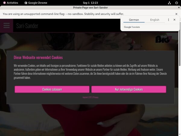 Sari Sander User Name Password