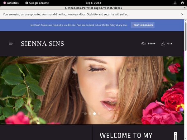 Sienna Sinns Galleries