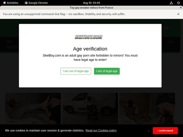 Sketboy.com User Pass