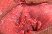 Use Paypal Gape My Pussy s2 Use Paypal Gape My Pussy s2