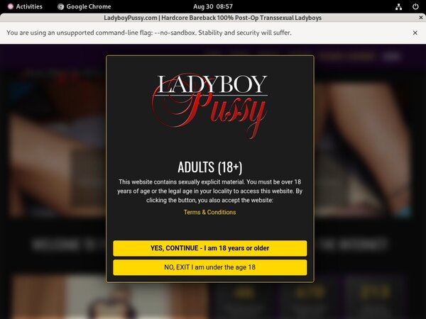 Valid Ladyboypussy.com Passwords