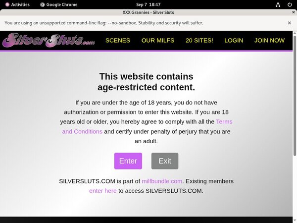 Valid Silver Sluts Passwords
