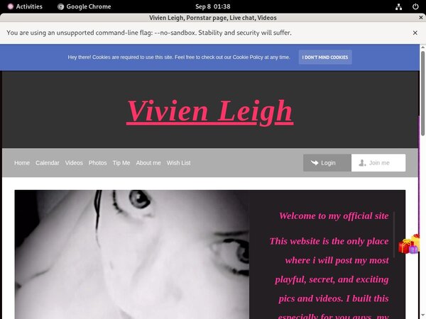 Vivienleighandme.modelcentro.com Clip Cash