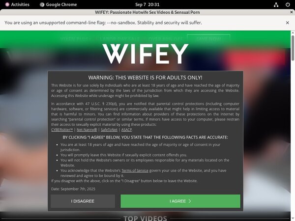 Wifey Free Clips
