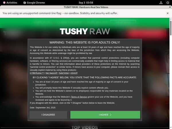 Working Tushyraw Account