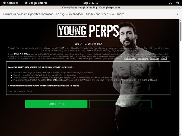 Young Perps Premium Passwords