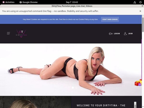 DirtyTina Free Accounts And Passwords