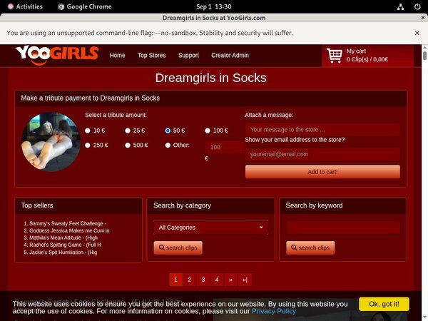 Dreamgirls In Socks Password Generator