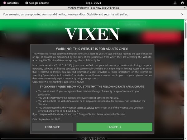 Vixen.com Nude Photos