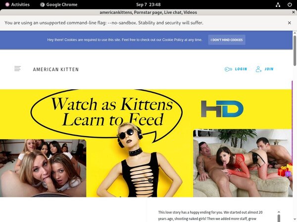 Americankitten.com Active Accounts Americankitten.com Active Accounts