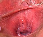 Free Video Gapemypussy